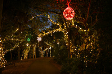 a walkway decorated with festive lights for the holidays
