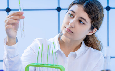 young adult woman scientist doing experiment with wheat sprouts in genetic modification laboratory
