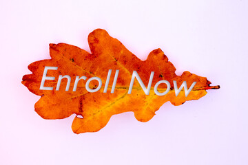 Autumn leaves, objects with Enroll Now text. Natural patterns, color design.