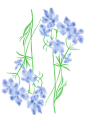 Fototapeta na wymiar 交互の青い花束