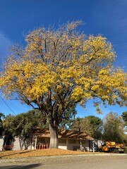 autumn in the city