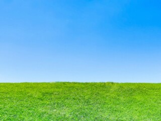 Fototapeta premium Grassland and blue sky. Hand-painted nature background. Green scenery. 
