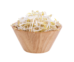 Bean sprouts in wood bowl isolated on transparent png