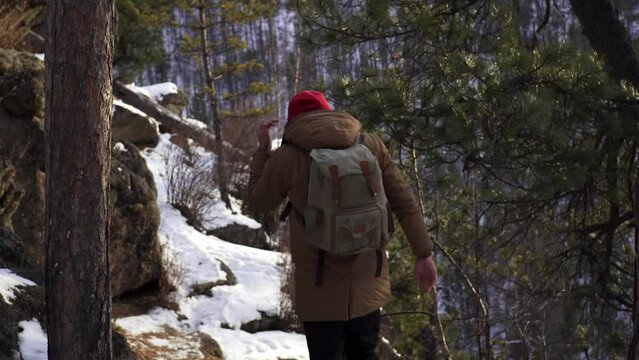 A tourist with a backpack walks along a cliff in the middle of a winter snow forest. Active recreation and hiking.
