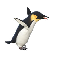 3d penguin exercise