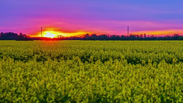 Cinematic sunset view through colorful sky with farming field in the foreground, Timelapse