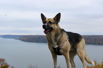Dixie on the Susquehanna