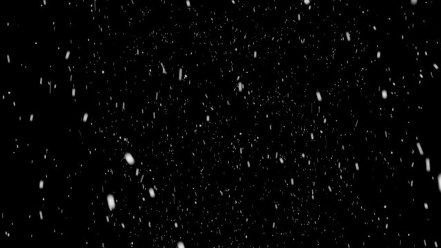 Winter Snow,  Falling  snow a black background