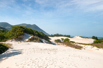 sand dunes on the beach in garopaba , brazil 