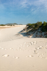 sand dunes on the beach in garopaba , brazil 