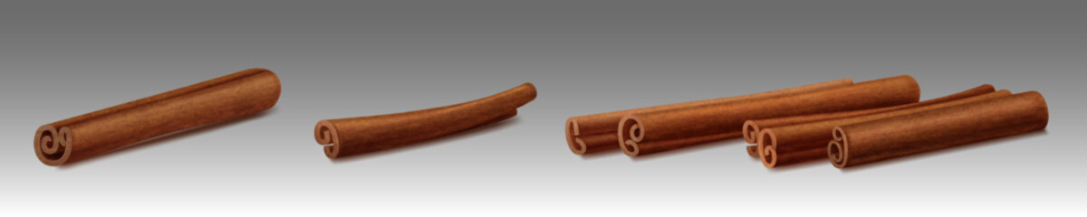 Cinnamon sticks, brown spice rolls, flavored condiment for cooking, bakery and aroma therapy. Organic aromatic seasoning with delicious smell isolated objects, Realistic 3d vector illustration