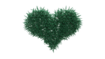 Heart wreath from Christmas tree twigs without decorations on transparent background. Christmas wreath. Wreath from Christmas tree branches without decorations. 3d illustration