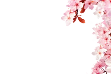 Foto op Canvas Botany decoration pink cherry blossom on white background PNG Form  © Pencile Art Design