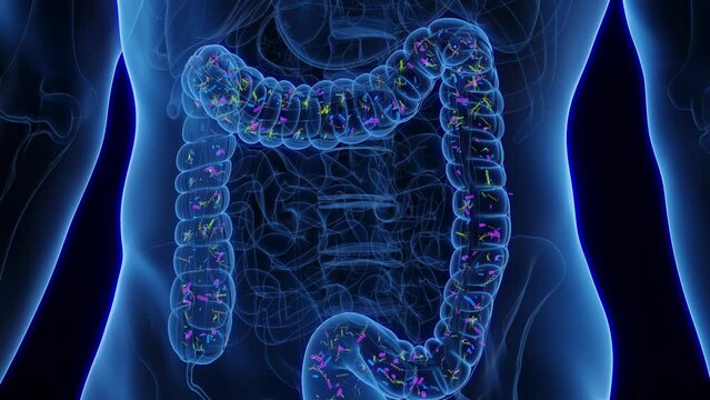 3d rendered medical animation of man's colon being colonized by normal intestinal flora