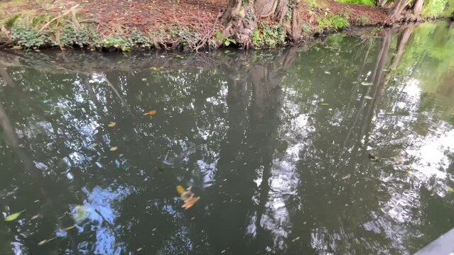 Kahnfahrt im Spreewald