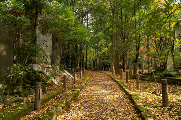 成田山公園の散策路