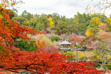 成田山公園紅葉まつり