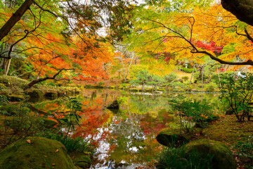 逆さ紅葉　成田山公園紅葉まつり