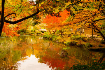 逆さ紅葉　成田山公園紅葉まつり