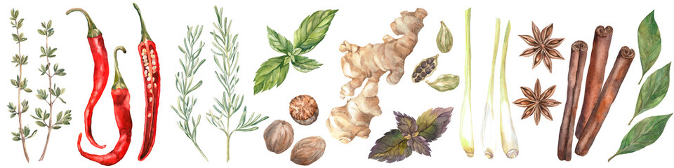 Spices Watercolor. Set. Illustration for clipart. Designed for menus, culinary blogs, packaging, textiles, web design, sites, stickers, invitations, patterns, logos. Drawn by hand.