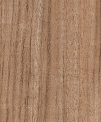 Brown color wood wall material burr surface texture background Abstract wooden, top view scene