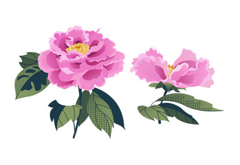 Vector illustration of peony flowers. Set of beautiful flowers and branches for wedding, anniversary, birthday and party. Design for banner, poster, card, invitation and scrapbook