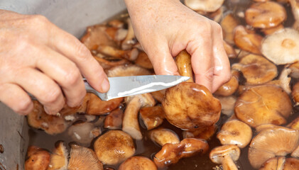 Cleaning mushrooms with a knife.