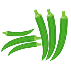 Ladyfinger with piece isolated fresh vegetable vector okra