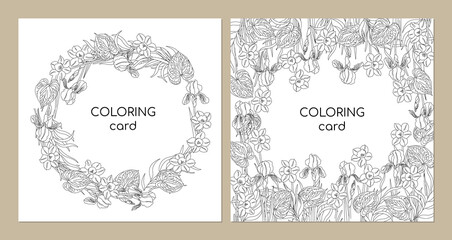 Floral coloring book. Flowers Narcissus, Iris, Anthurium, eucalyptus. Vector illustration