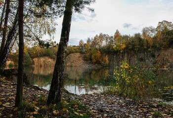 Fototapeta premium The shore by the flooded old quarry. Autumn. Opatovice. Czechia.