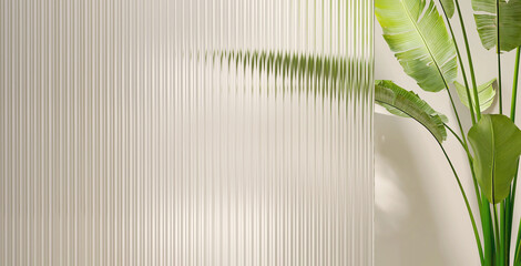 Healthy and beautiful tropical banana tree and glossy reeded glass partition in dappled sunlight on blank beige wall for luxury interior design, architecture and product display background - obrazy, fototapety, plakaty