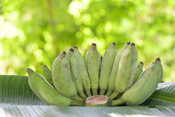 raw banana - banana fruit on banana leaf , green banana fruit nature green background