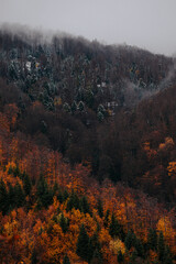 Beautiful autumn landscape from above. Drone shot 