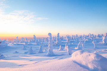 winter landscape with snow cowered trees