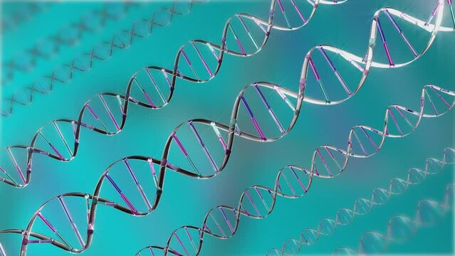 DNS-Str&auml;nge in graphischer Anordnung 