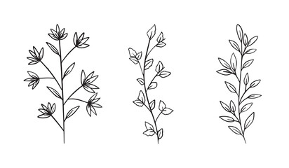 Botanical elements - branches with leaves, black outline illustration on white