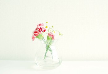 花瓶に入ったカーネーションの花