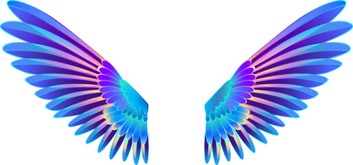 Fototapeta na wymiar neon hummingbird wings