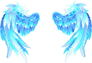 Fototapeta premium Angel wings