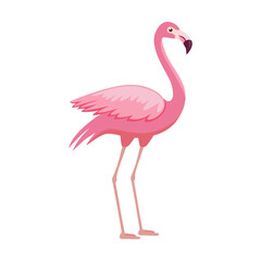Beautiful pink bird standing. Flamingo cartoon illustration. Side view of exotic tropical bird isolated on white