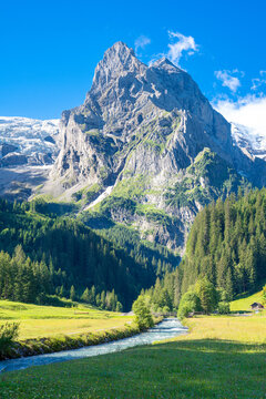 Wundersch&ouml;ne Rosenlaui Schlucht im Morgenlicht im Berner Oberland in der Schweiz. Sch&ouml;ner Sommertag mit saftiger Wiese und Bergen im Hintergrund