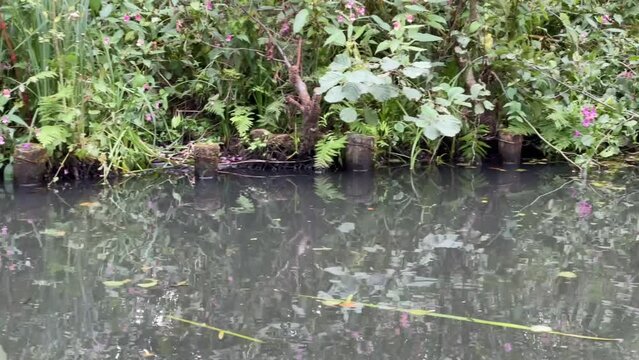 Kahnfahrt im Spreewald