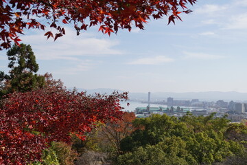 赤く色付いたカエデの間から見える琵琶湖大津港