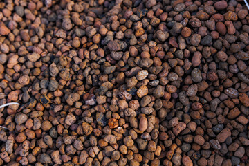 Claydite. Flat layer. Top view of a seamless abstract background of expanded clay. Construction material. Claydite granules as drainage for plants.