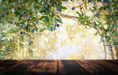 Wooden table on the background of olive trees and a farm garden. Summer rustic food product...