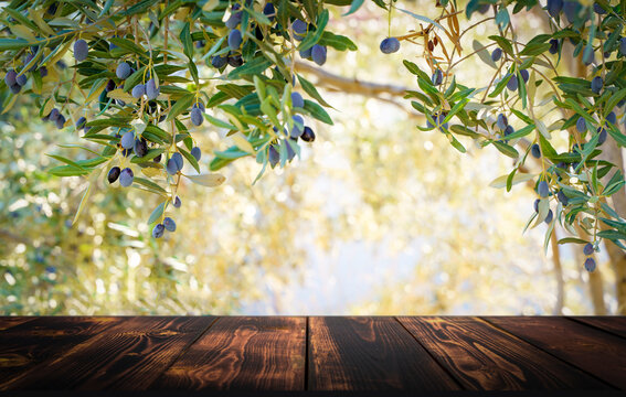 Wooden table on the background of olive trees and a farm garden. Summer rustic food product background. Eco, natural, farming concept