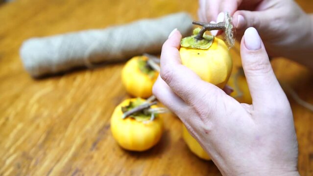 Woman hands preparing fresh persimmon fruit for drying, lined up on a rope. Row of Hanging Japanese dried Persimmon - Hoshigaki on strings to preserved it in autumn season. Selective focus