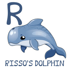 Cute Sea Animal Alphabet Series. R is for Risso's Dolphin. Vector cartoon character design illustration.
