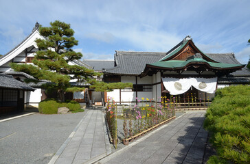 秋の大覚寺　式台玄関と嵯峨菊　京都市右京区嵯峨