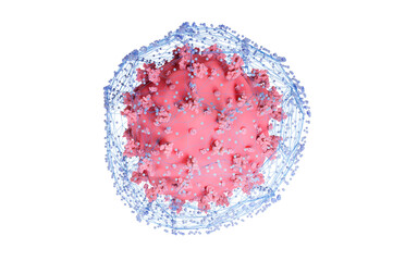 Virus particle in a net, visualizing antibodies or the immune system reacting to a corona virus. Conceptual 3d illustration on white background.